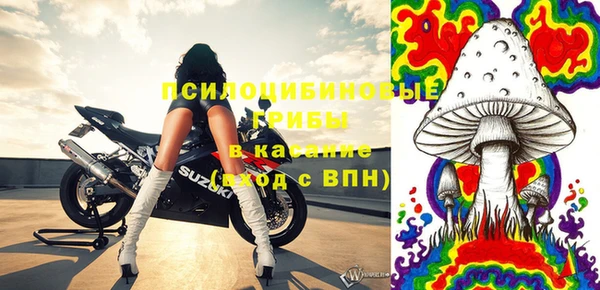 первитин Козельск