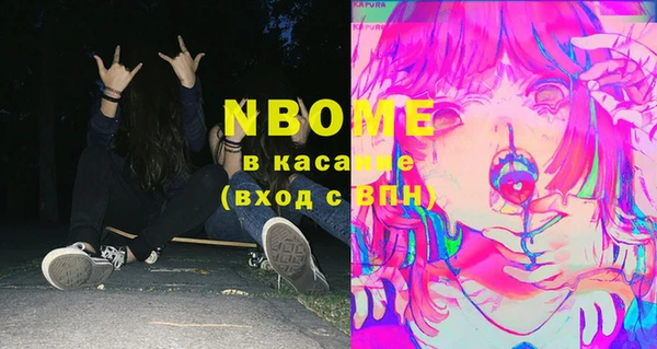 сатива Чердынь