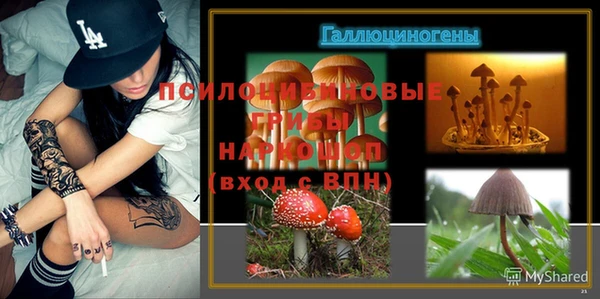 винт Козловка
