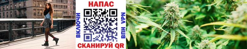 Купить  Мичуринск  Каннабис индика 